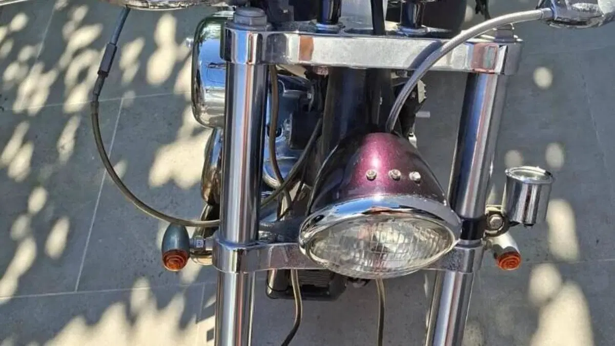 Harley-Davidson   (4)