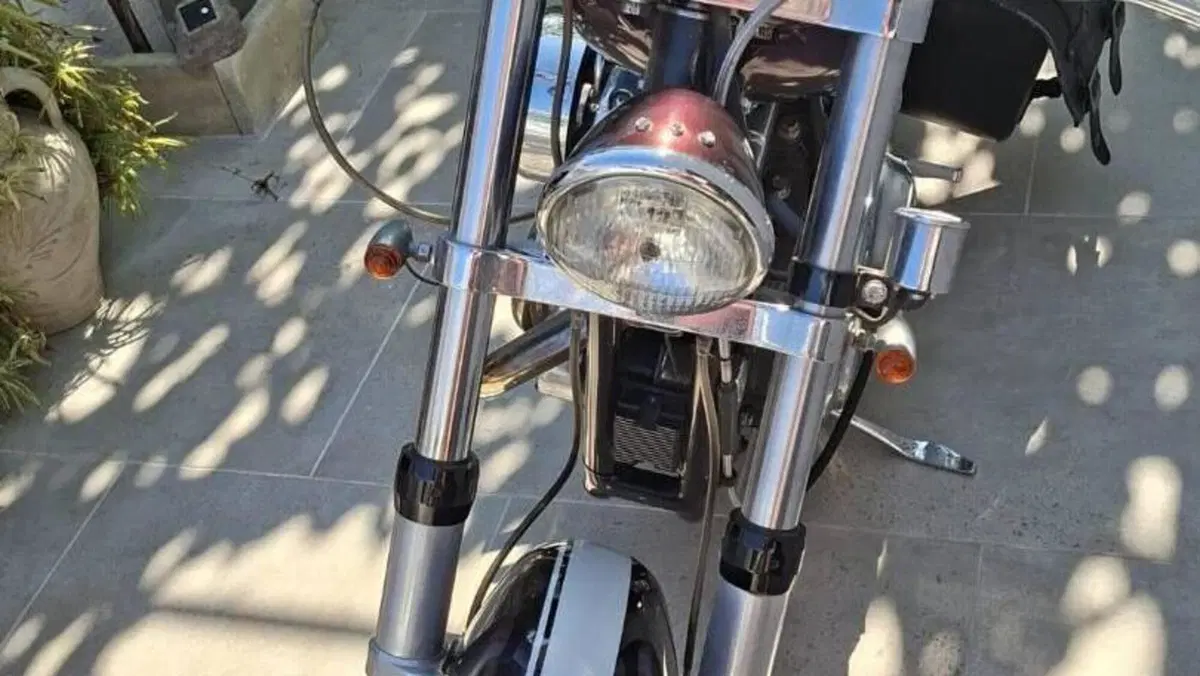 Harley-Davidson   (5)
