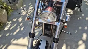 Harley-Davidson   (5)