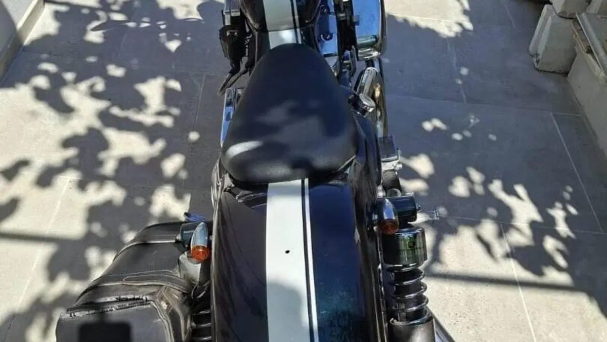 Harley-Davidson   (7)
