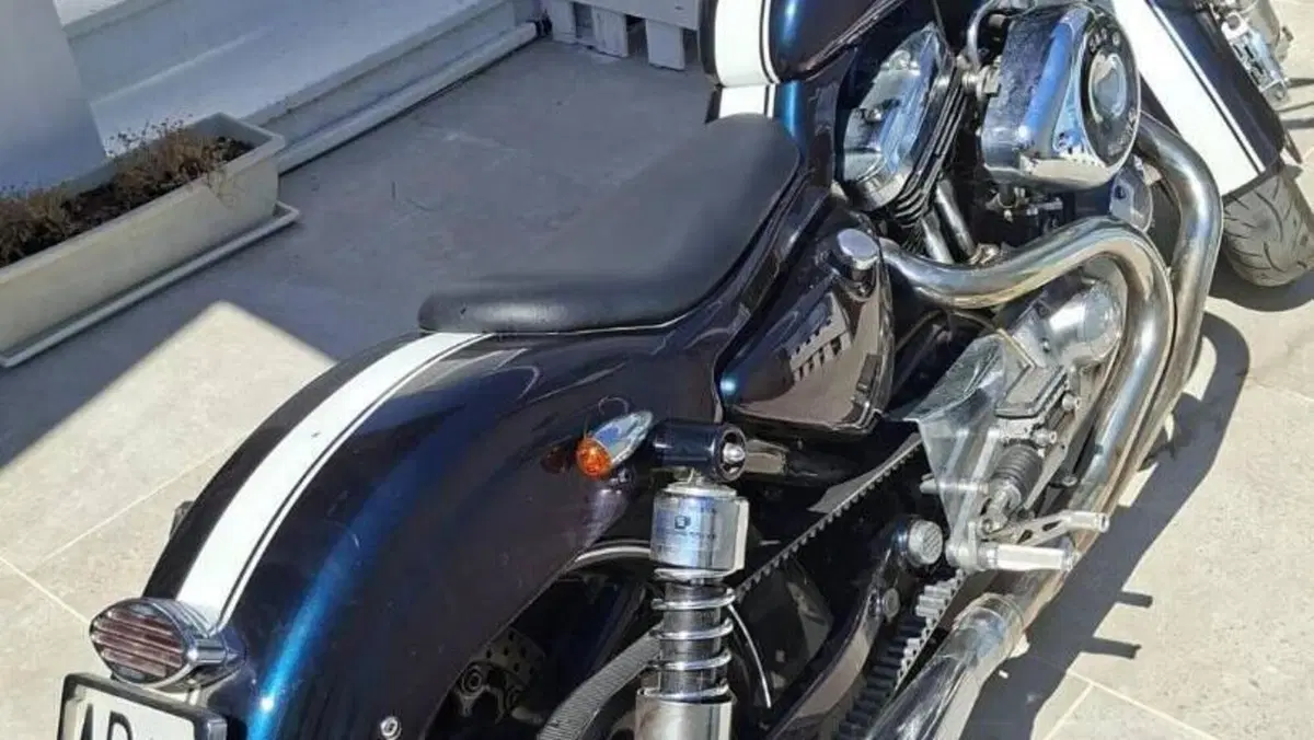 Harley-Davidson   (8)