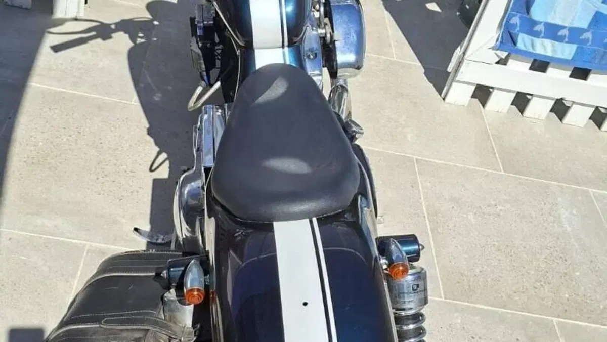 Harley-Davidson   (9)