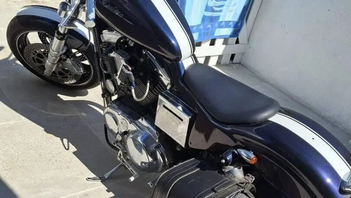 Harley-Davidson   (10)