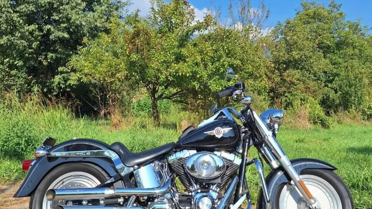 Harley-Davidson 1450 Fat Boy (2003 - 06) - FLSTFI  (2)