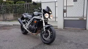 Triumph   (3)