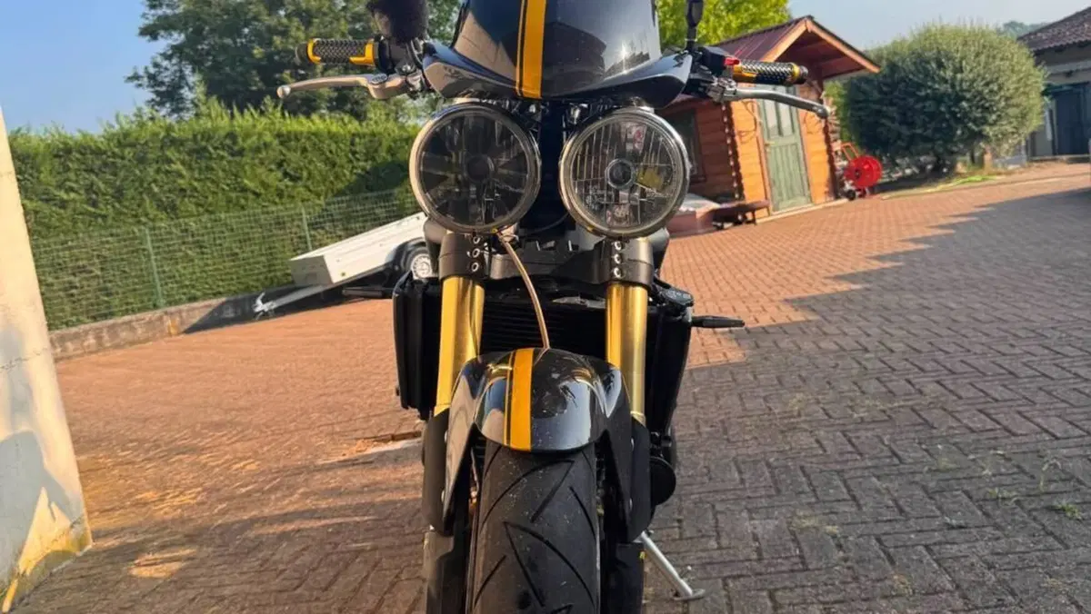 Triumph Speed Triple 1050 (2005 - 11)  (5)
