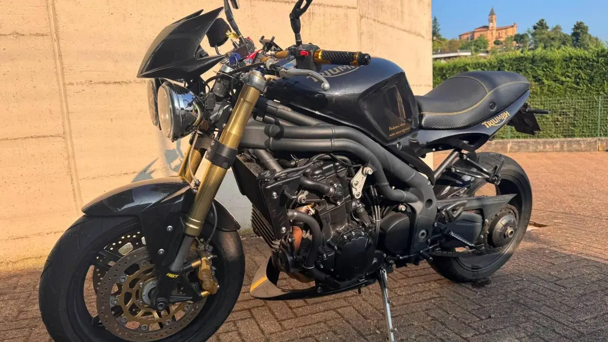 Triumph Speed Triple 1050 (2005 - 11)  (6)