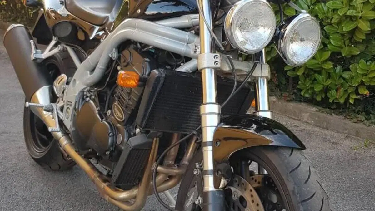 Triumph   (6)