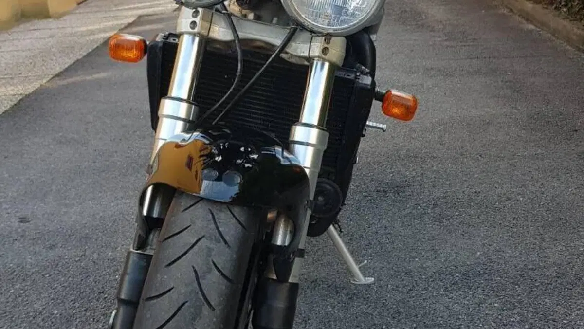 Triumph   (7)