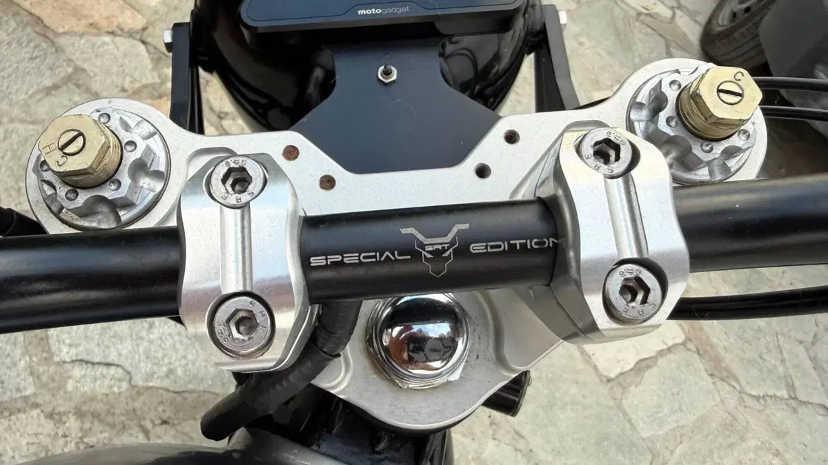 Triumph Thruxton 900 (2004 - 15)  (13)