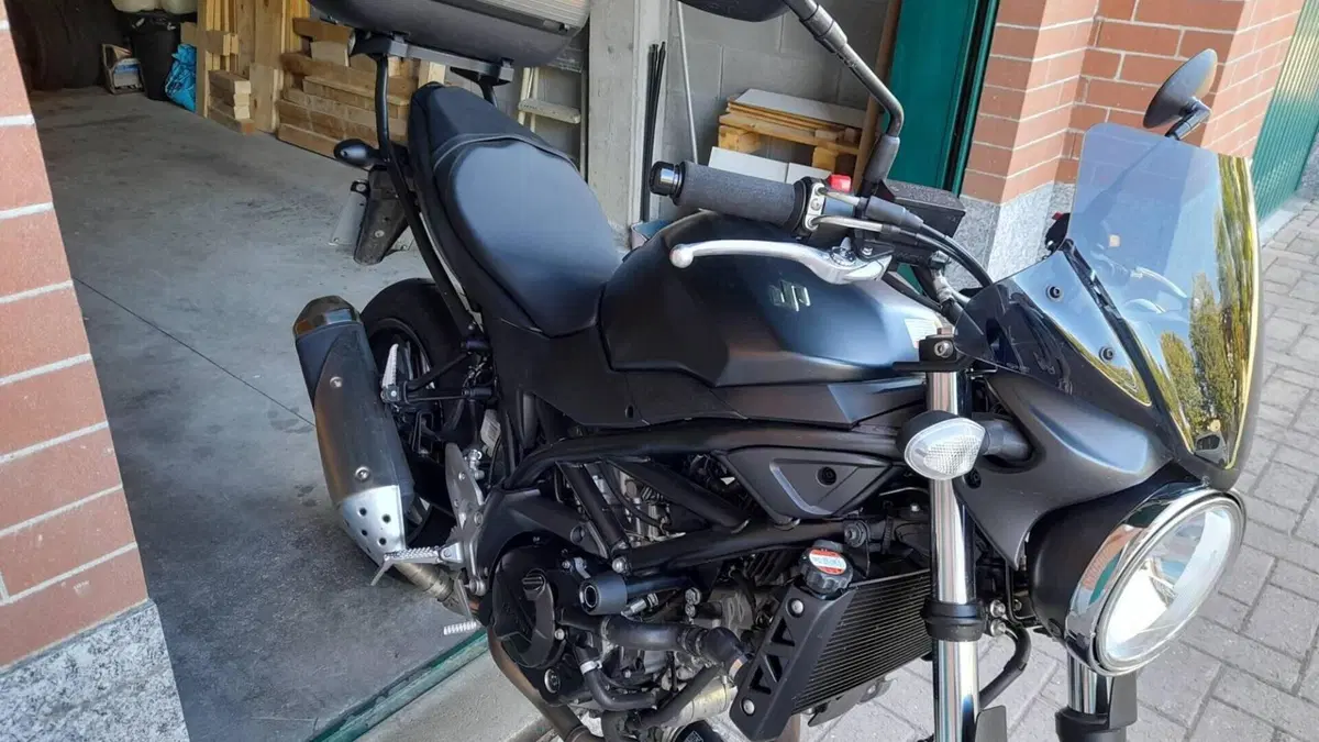 Suzuki SV 650 (2016 - 20)  (6)