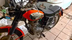 Ducati  