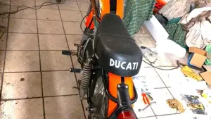 Ducati   (3)