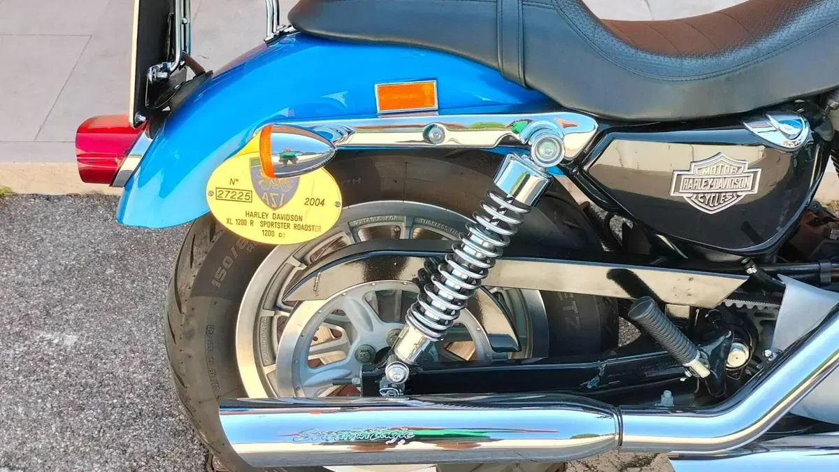 Harley-Davidson 1200 Roadster (2002 - 05) - XL 1200R  (2)