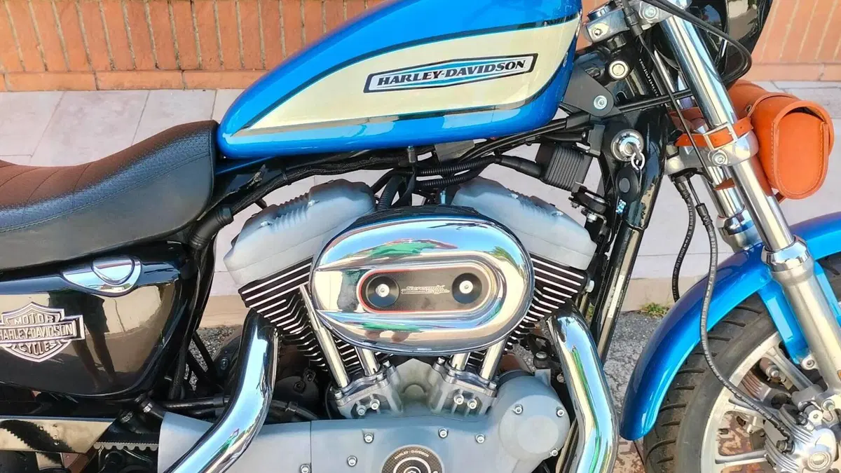 Harley-Davidson 1200 Roadster (2002 - 05) - XL 1200R  (3)