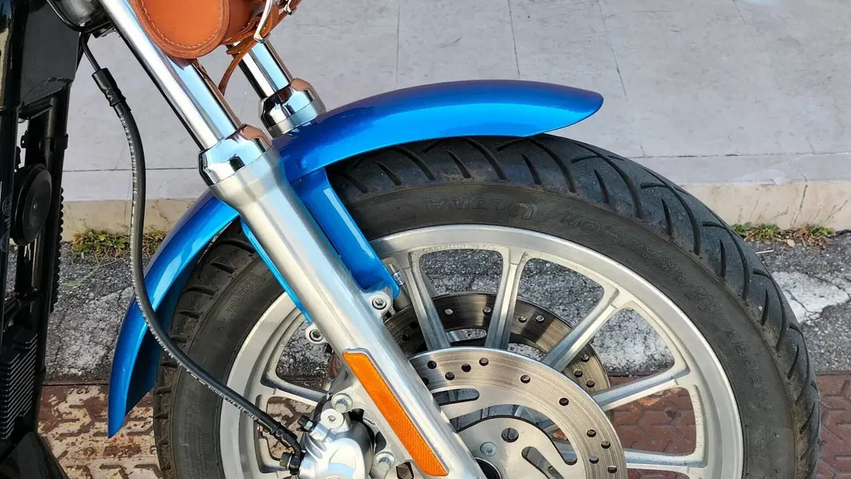 Harley-Davidson 1200 Roadster (2002 - 05) - XL 1200R  (4)