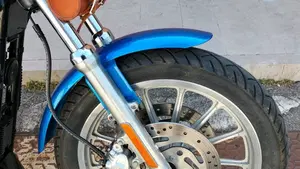 Harley-Davidson 1200 Roadster (2002 - 05) - XL 1200R  (4)