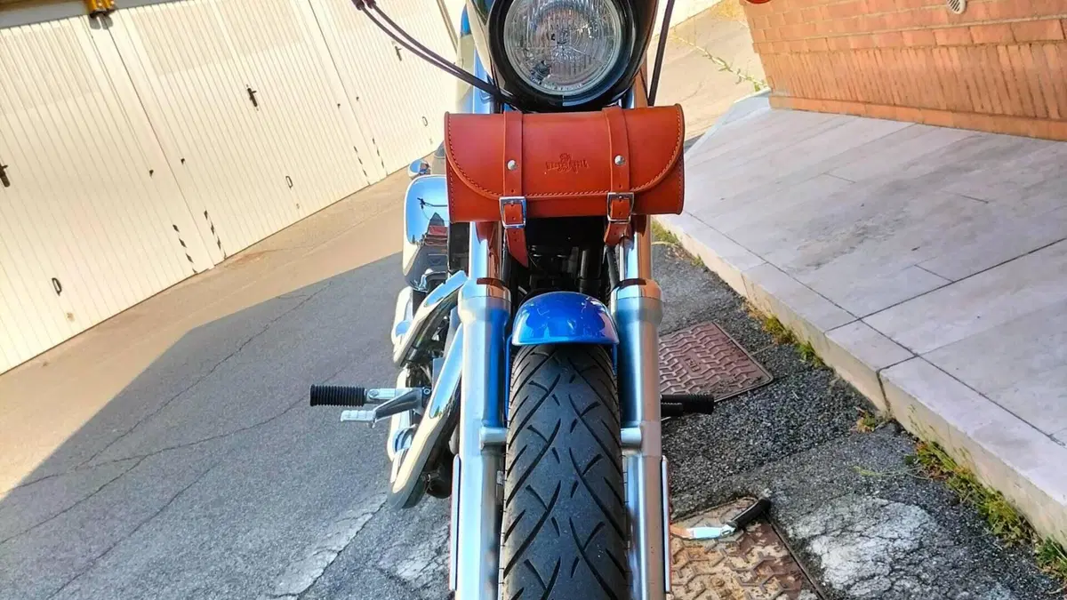 Harley-Davidson 1200 Roadster (2002 - 05) - XL 1200R  (5)