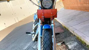 Harley-Davidson 1200 Roadster (2002 - 05) - XL 1200R  (5)