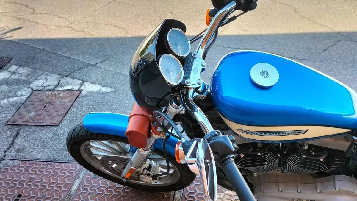 Harley-Davidson 1200 Roadster (2002 - 05) - XL 1200R  (6)