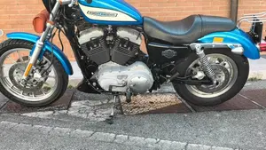 Harley-Davidson 1200 Roadster (2002 - 05) - XL 1200R  (7)