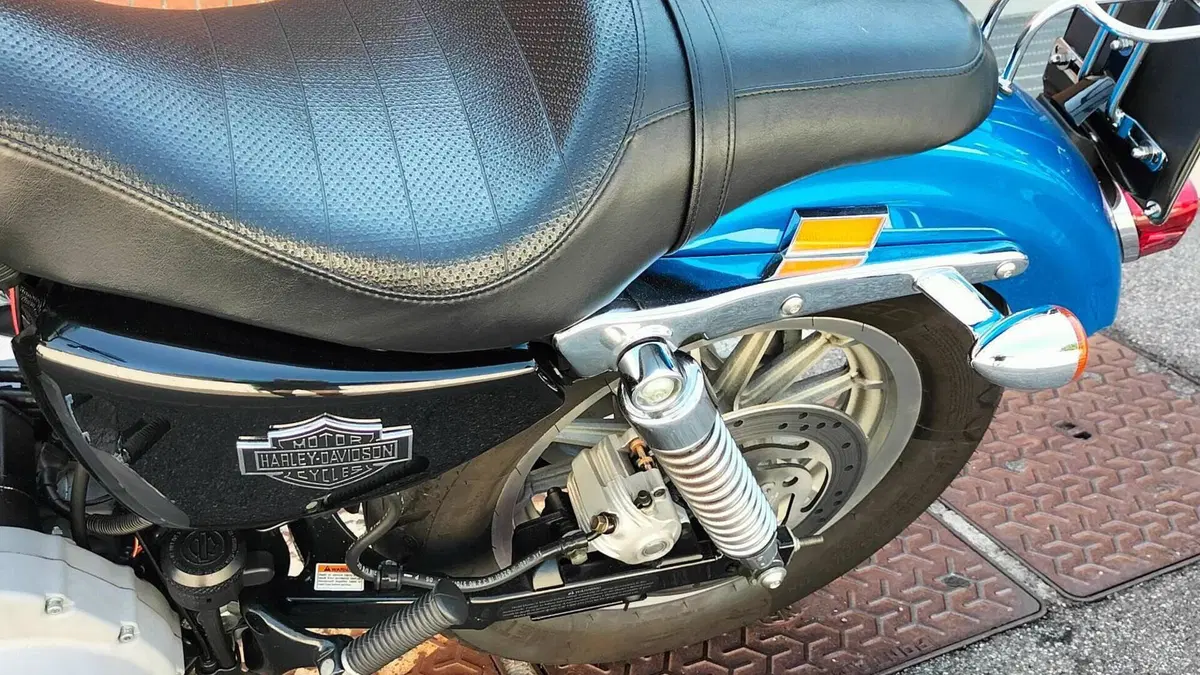 Harley-Davidson 1200 Roadster (2002 - 05) - XL 1200R  (9)