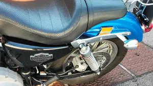 Harley-Davidson 1200 Roadster (2002 - 05) - XL 1200R  (9)