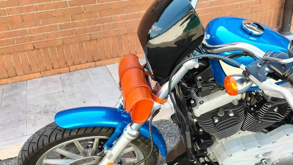 Harley-Davidson 1200 Roadster (2002 - 05) - XL 1200R  (10)