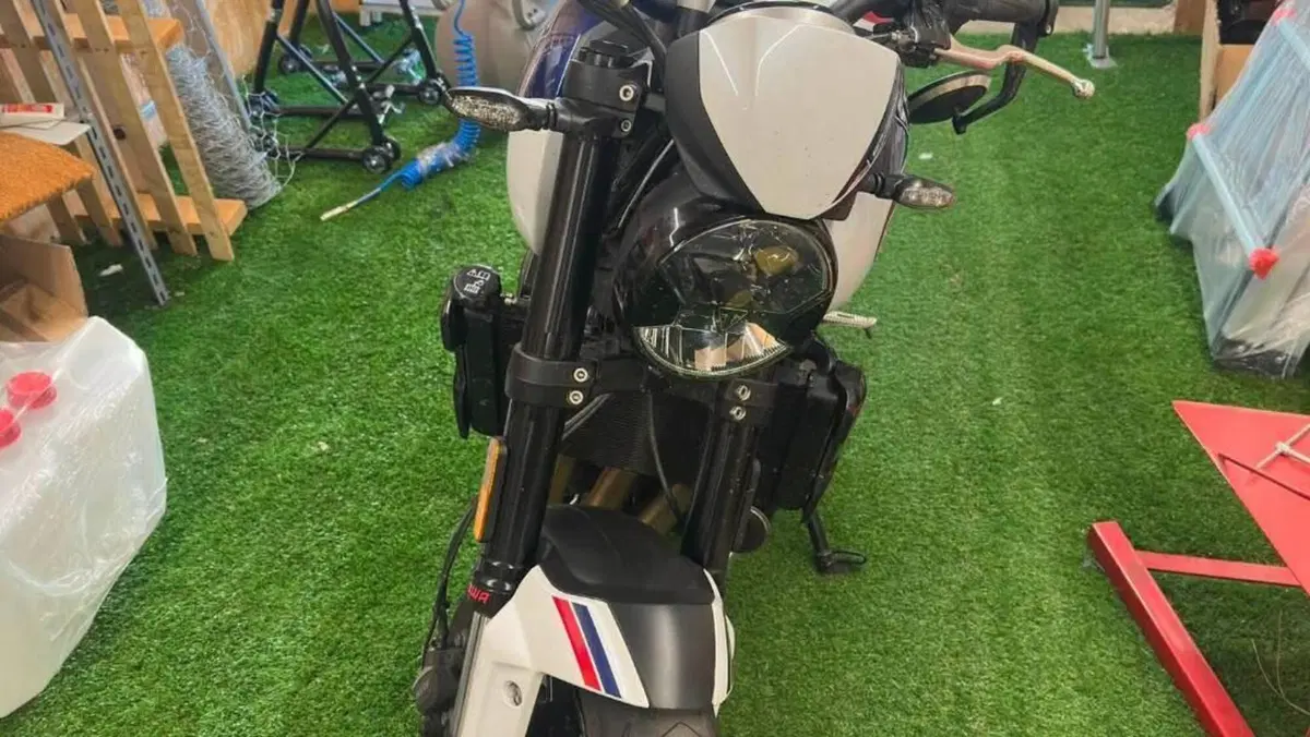 Triumph Trident 660 Triple Tribute Edition (2024)  (2)