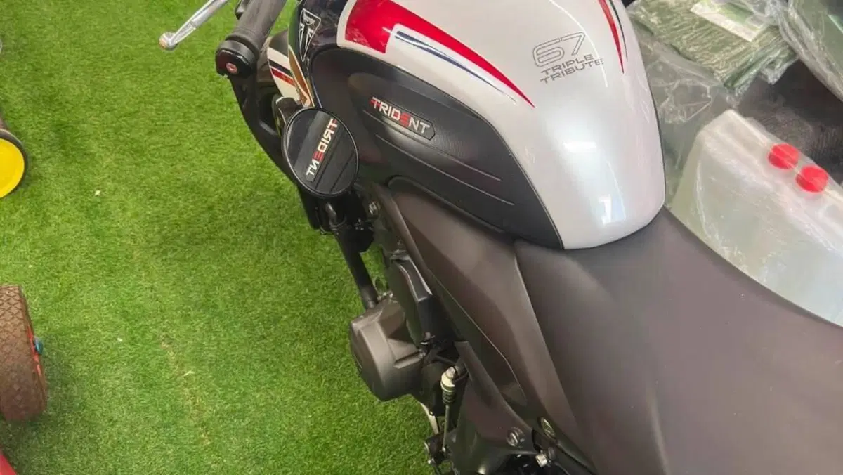Triumph Trident 660 Triple Tribute Edition (2024)  (3)