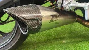 Triumph Trident 660 Triple Tribute Edition (2024)  (4)