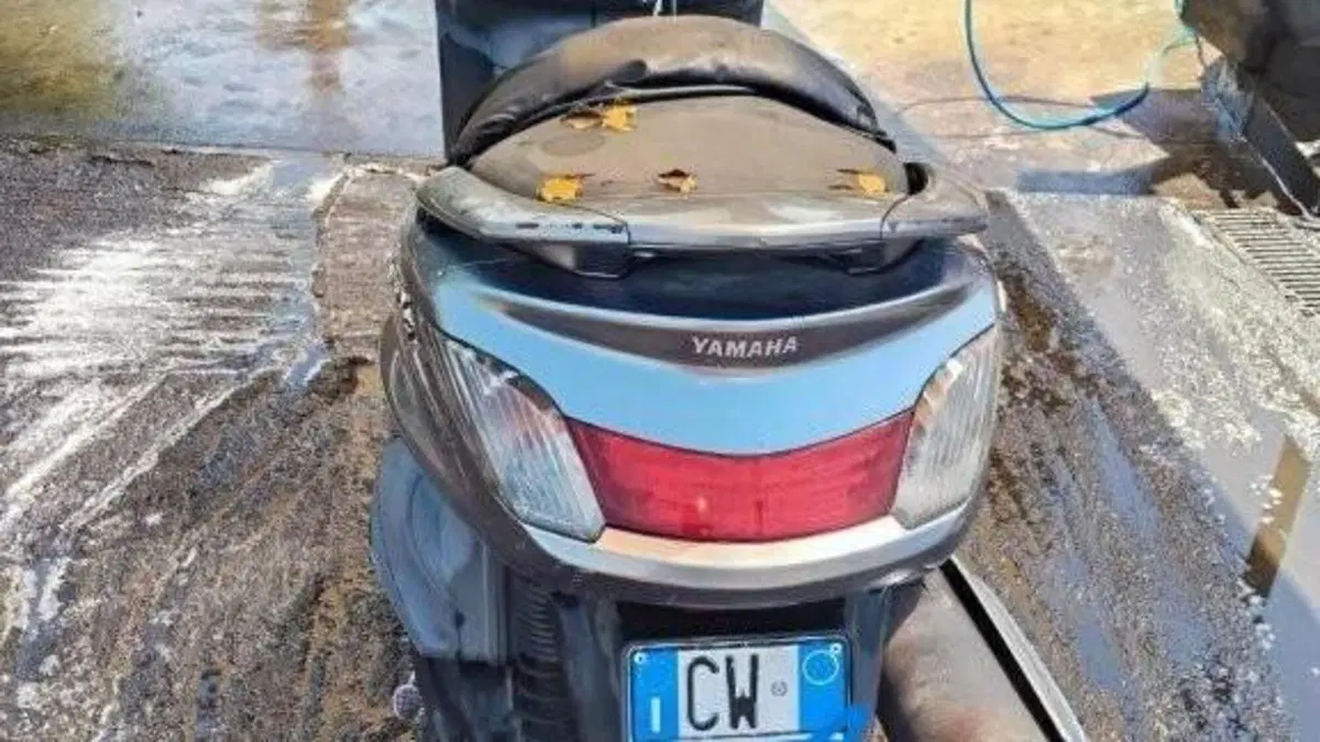 Yamaha Majesty 400 (2004 - 08)  (5)