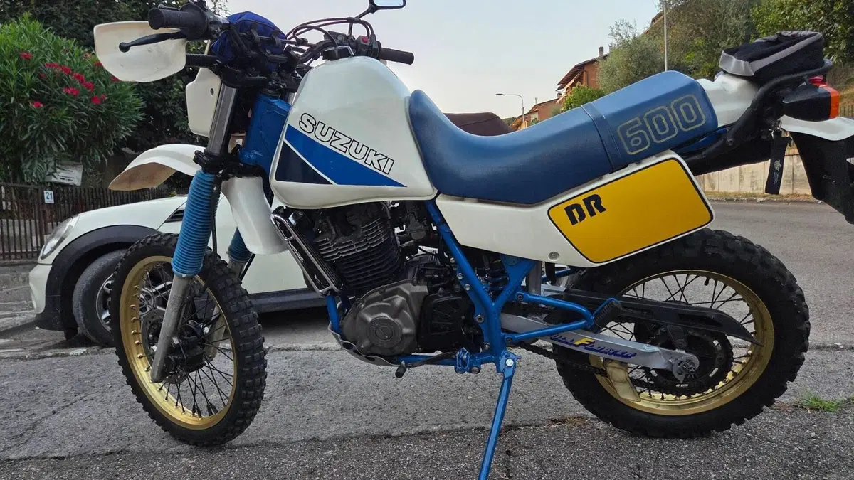 Suzuki   (2)