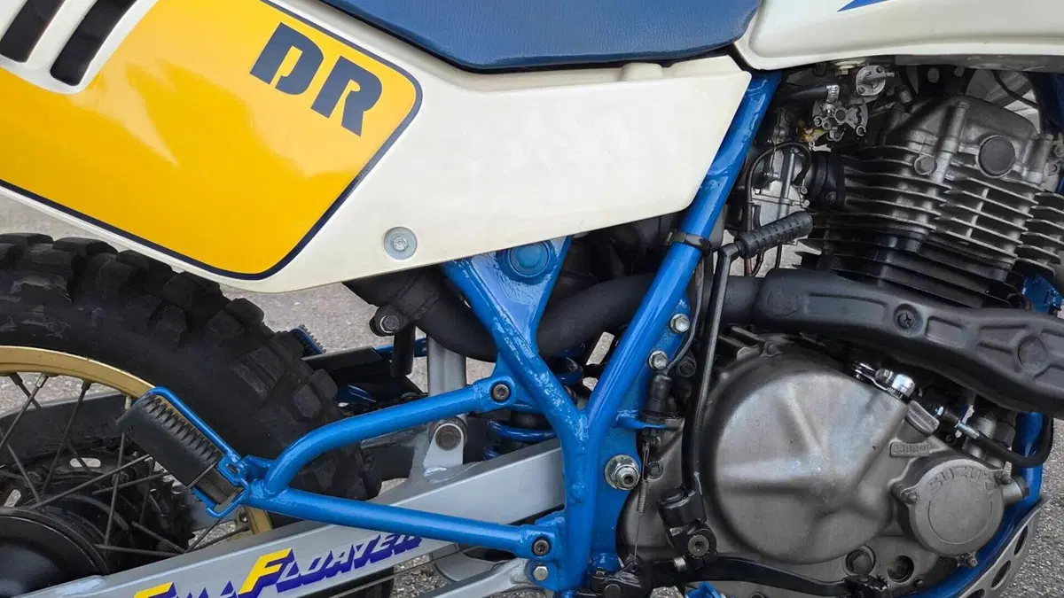 Suzuki   (3)