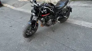 Triumph Trident 660 (2021 - 24)  (2)