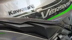 Kawasaki Versys 650 (2025 - 26)  (7)