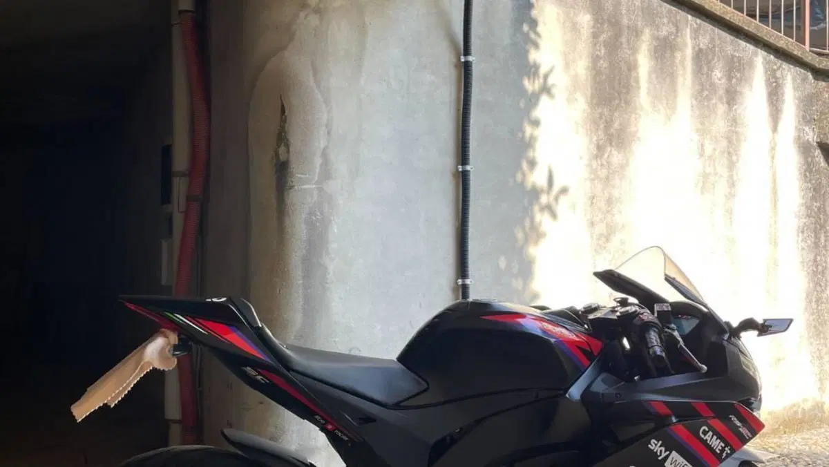 Aprilia RS 125 GP Replica (2021 - 24)  (3)