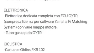 Yamaha YZF R1 GYTR (2023 - 24)  (2)