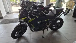 Kawasaki Z 650 (2020)  (2)