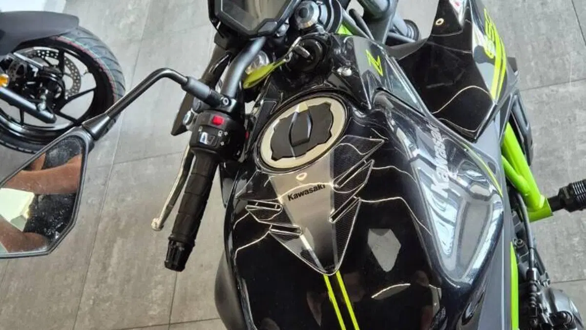 Kawasaki Z 650 (2020)  (6)