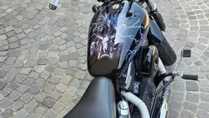 Harley-Davidson 1200 Forty-Eight (2010 - 15)  (2)