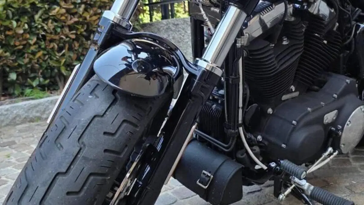 Harley-Davidson 1200 Forty-Eight (2010 - 15)  (4)