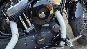 Harley-Davidson 1200 Forty-Eight (2010 - 15)  (6)