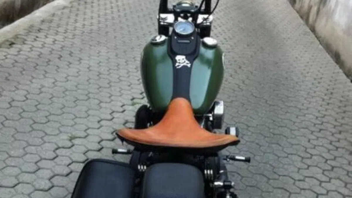 Harley-Davidson 1584 Street Bob (2007) - FXDB  (6)