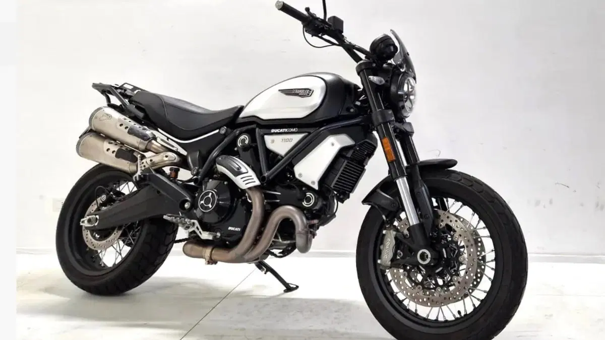 Ducati Scrambler 1100 Dark Pro (2020 - 24)  (3)