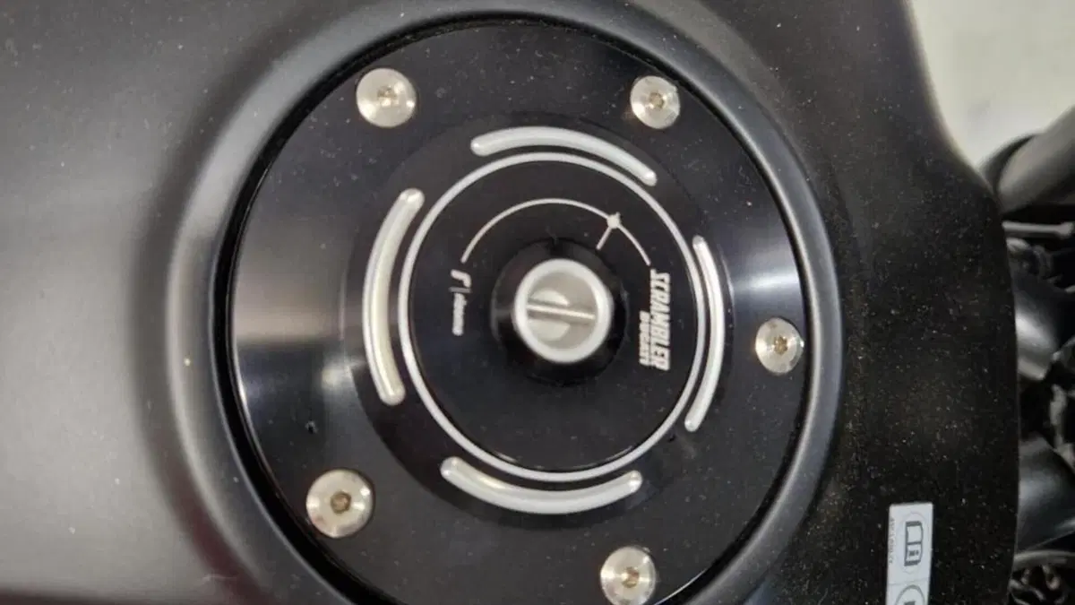Ducati Scrambler 1100 Dark Pro (2020 - 24)  (7)