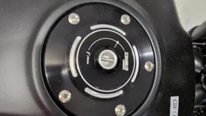Ducati Scrambler 1100 Dark Pro (2020 - 24)  (7)