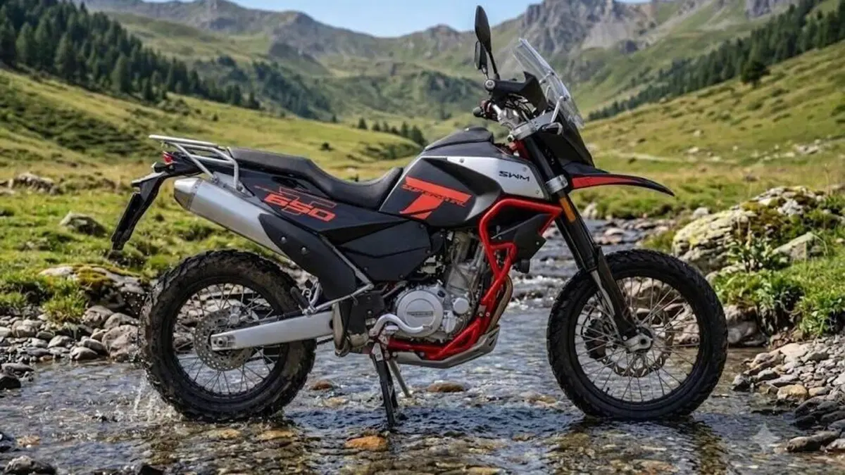 Swm Superdual 600 T (2026)  (5)