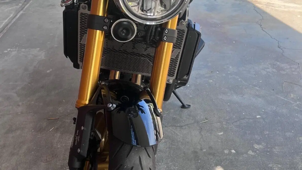 Kawasaki Z 900 RS SE (2022 - 25)  (6)