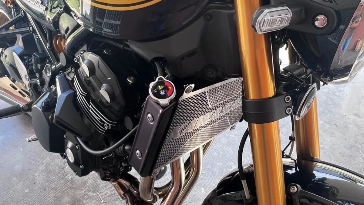 Kawasaki Z 900 RS SE (2022 - 25)  (7)
